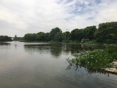 -新江湾城公园