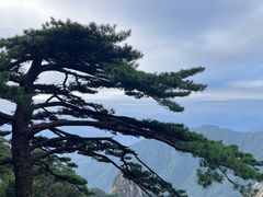 -黄山风景区