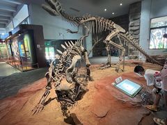 -自贡恐龙博物馆