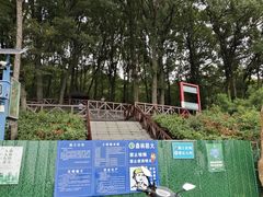 -老山国家森林公园
