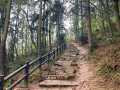 -冶父山国家森林公园