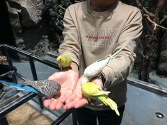 -zoonana室内动物园(东方福来德店)