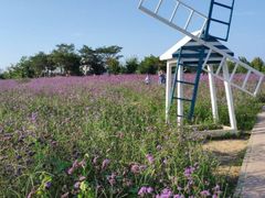 -渔岛海洋度假区