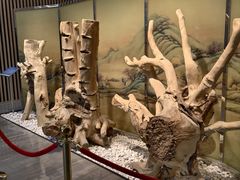 -香市公园-中国沉香文化博物馆