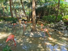 -三亚蜈支洲岛旅游区
