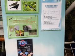-华侨城湿地公园