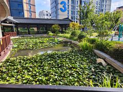 -上海浦东由由信福养老院