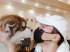 -Let's go狗咖·猫咖·奶狗·桌游(春熙路IFS店)