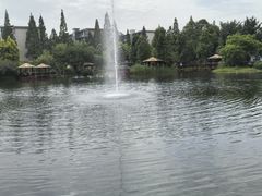 -成飞公园