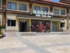 -南宫五洲植物乐园