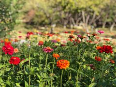 -永定河休闲森林公园