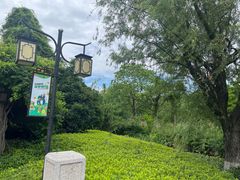 -白马涧龙池景区