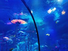 -沈阳海洋探索中心