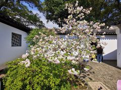 -虞山风景区