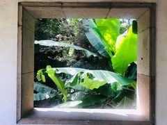 -秋霞圃