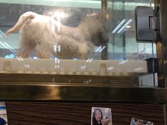 -乐宠宠物店(世纪金源店)