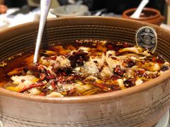 -佳兰雅序融合菜(高新店)
