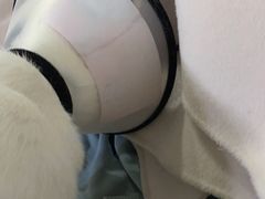 -美迦爱-牙专科·兔科·骨科诊疗中心(北苑店)