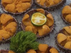 -连鹭海鲜·海肠捞饭·海胆饭(星海店)