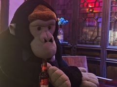 -周庄红庭演艺酒吧