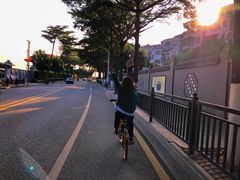 -长洲岛