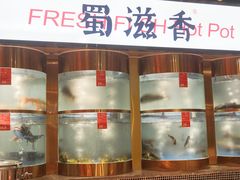 -蜀滋香鲜鱼火锅(黄金路店)
