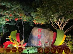 -野狸岛