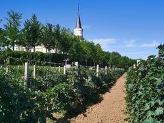 -北京张裕爱斐堡酒庄