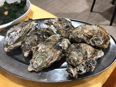 -蚝专家(北滘店)