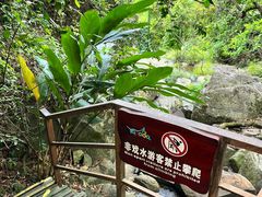 -呀诺达热带雨林