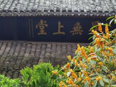 -峨眉山报国寺