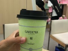 -岭南站NOVA