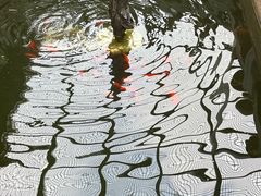 -狼山风景名胜区