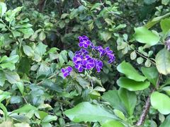 -人民公园(罗湖区)