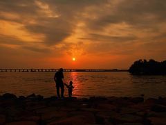 -宝安西湾红树林湿地公园