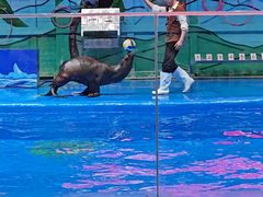 -石家庄极地海洋世界