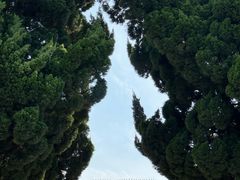 -小麦岛公园