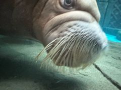 -哈尔滨波塞冬海底世界