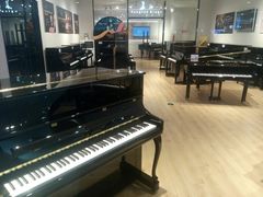 -柏斯音乐艺术中心·钢琴·吉他(世纪金源店)