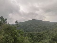 -海南霸王岭国家森林公园
