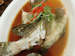 -金米箩大酒店(五角场店)