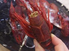 -洪福龙虾