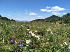 -白草畔自然风景区