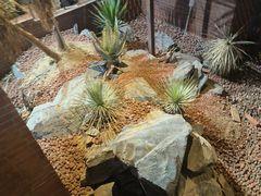 -老李家土菜馆·安吉地标美食