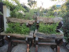 -慢丽江·云南野生菌土鸡锅(西山店)