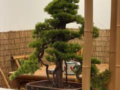 -厝味火锅·潮汕卤水火锅(十一合店)