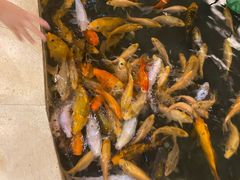 -千岛湖鱼味馆(十字街总店)