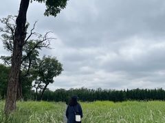 -汉长安城未央宫国家考古遗址公园