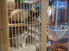 -府学·秋果S酒店(北京南锣鼓巷四合院店)