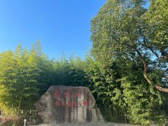 -敬亭山风景名胜区